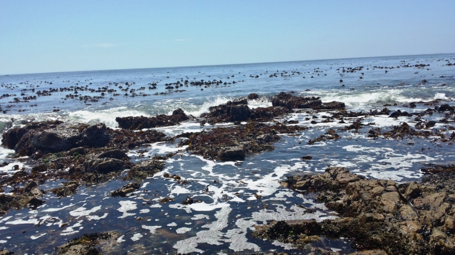 0 Bedroom Property for Sale in Steenbergs Cove Western Cape